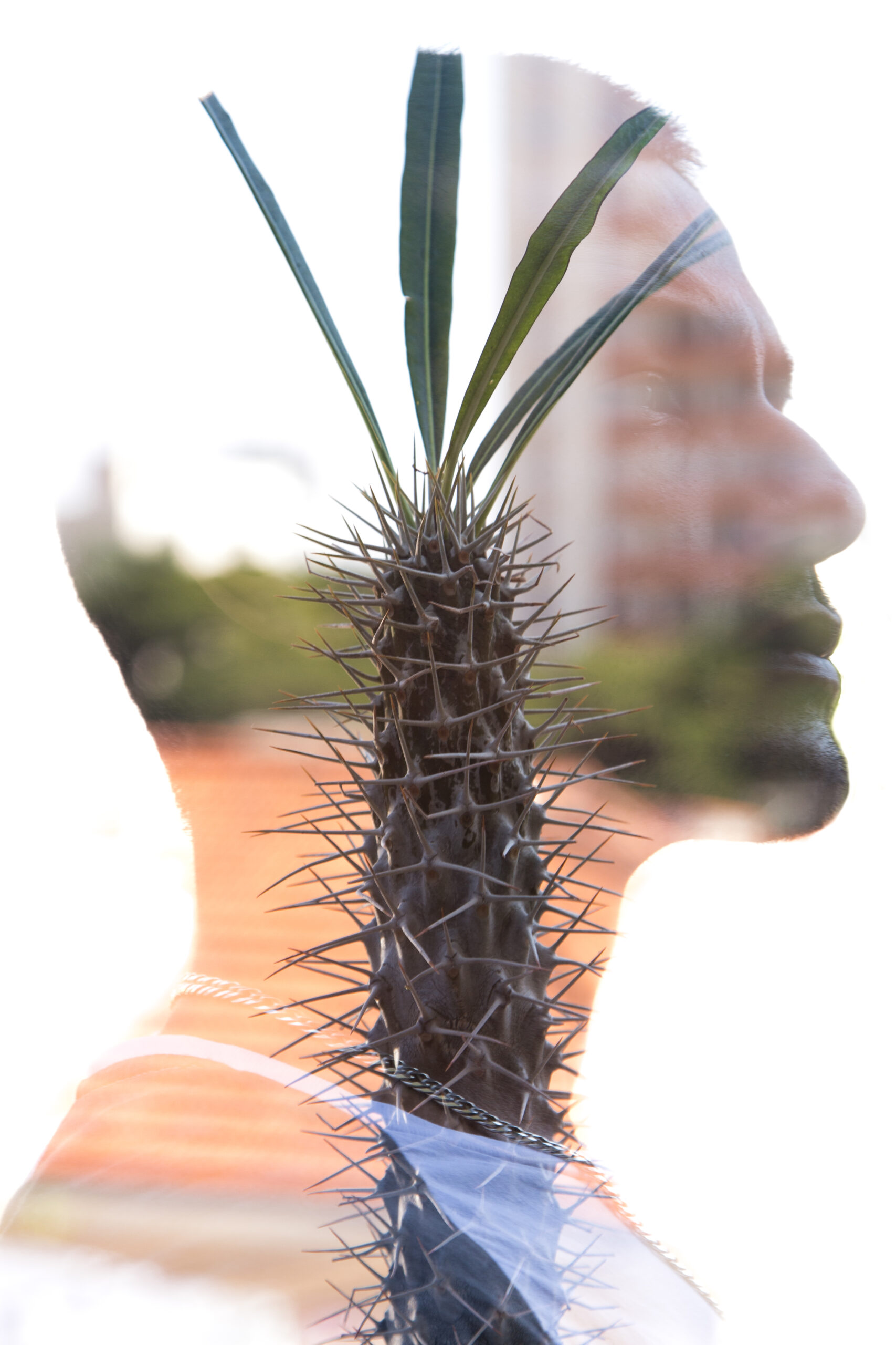 Retrato feito por exposição múltipla de um homem com um cacto